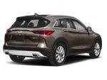 2019 INFINITI QX50 LUXE