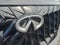 2027 INFINITI QX65 SPORT