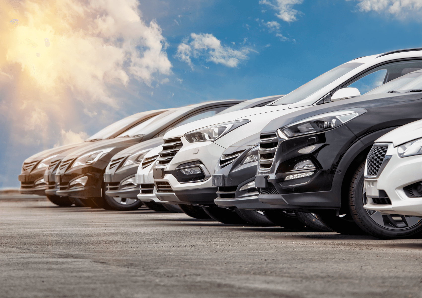 Lineup of Used Cars